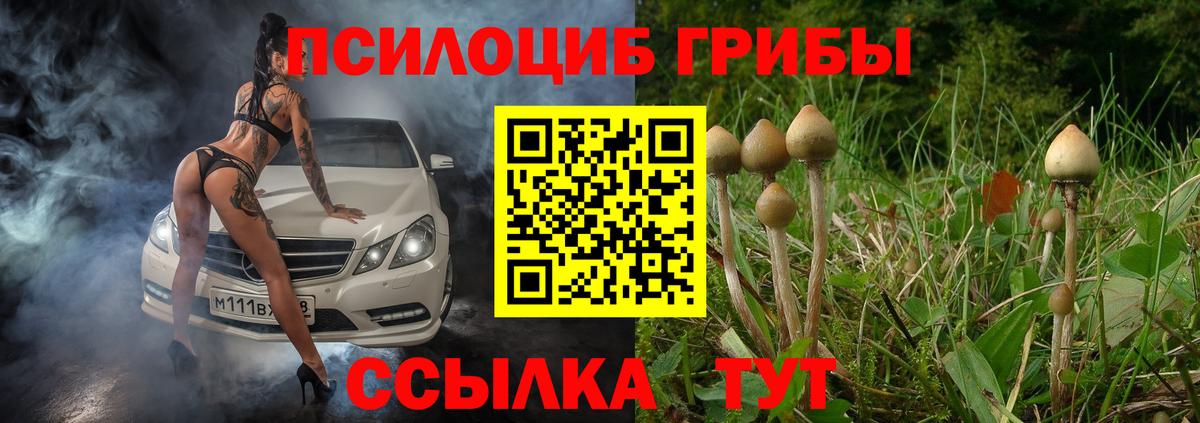 Галлюциногенные грибы мицелий  Псилоцибиновые грибы Cubensis  Красноперекопск  Вход с VPN 