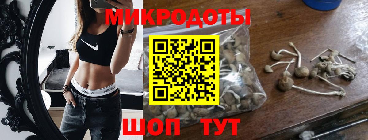 Псилоцибиновые грибы Psilocybe Красноперекопск